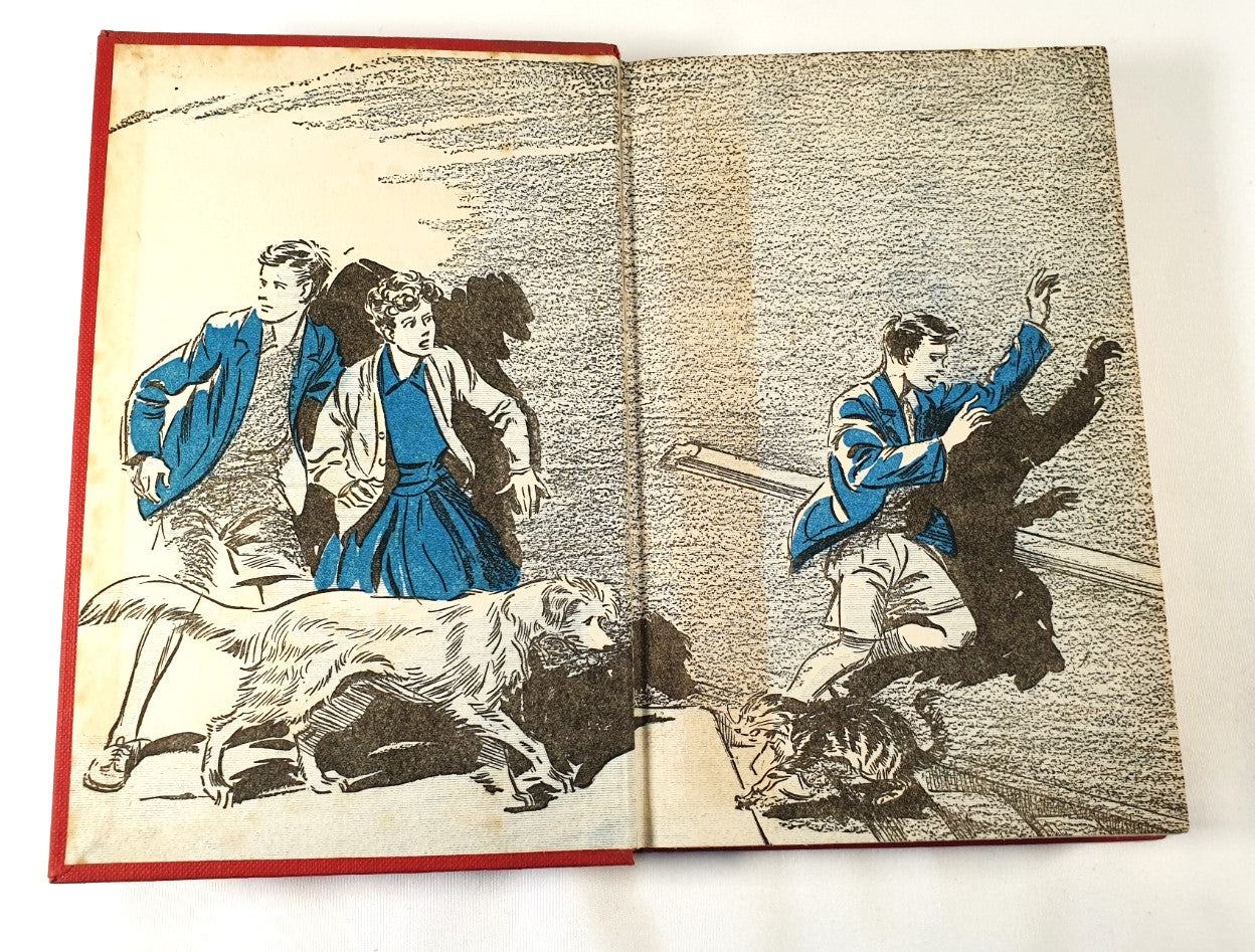 Blyton, Enid - Five Have Plenty of Fun (First Edition 1955)