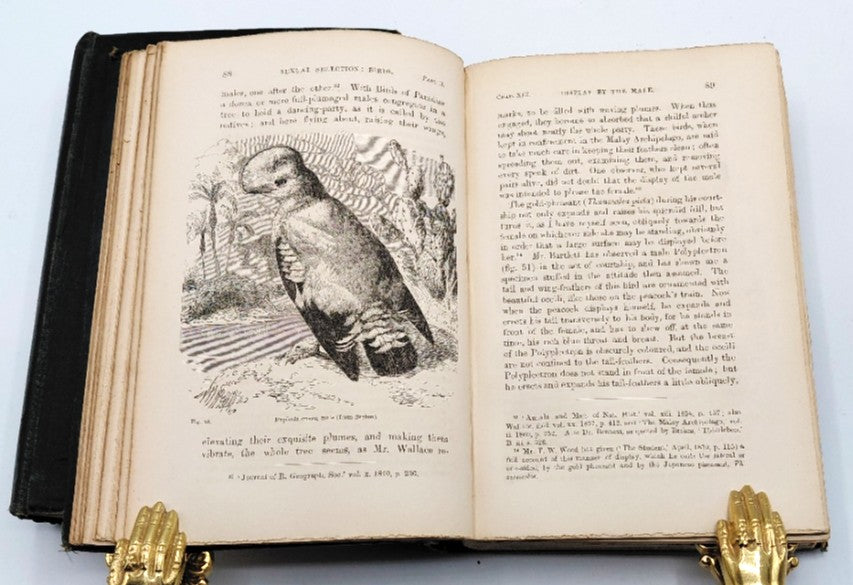 Darwin, Charles - 'The Descent of Man, and Selection in Relation to Sex' (2 vol.) (First Ed. 1871)